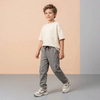 Boys Grey Trouser