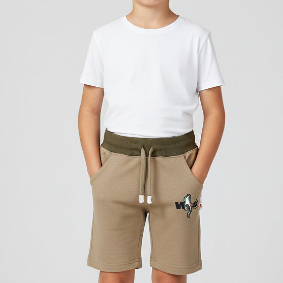 Boys Grey Shorts