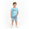 Boys Sky Blue Graphic T-Shirt