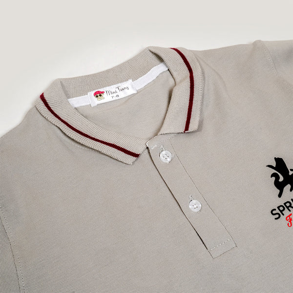 Boys Grey Polo T-Shirt